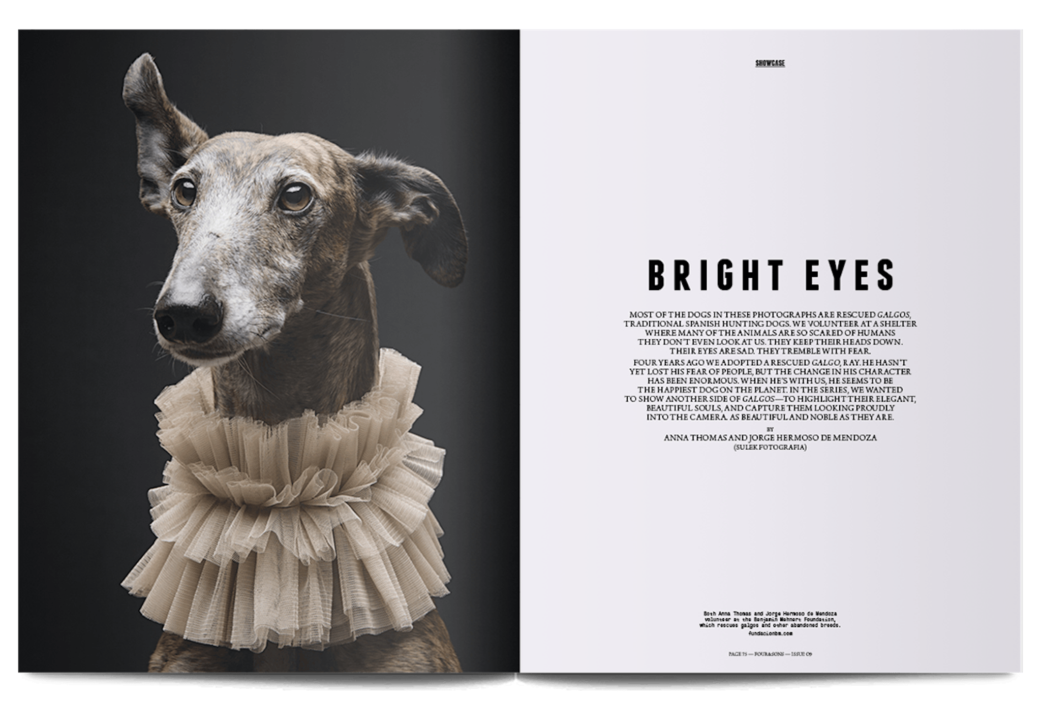 Four & Sons issue 9 - STACK magazines