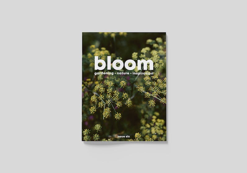 Bloom issue 6 - STACK magazines