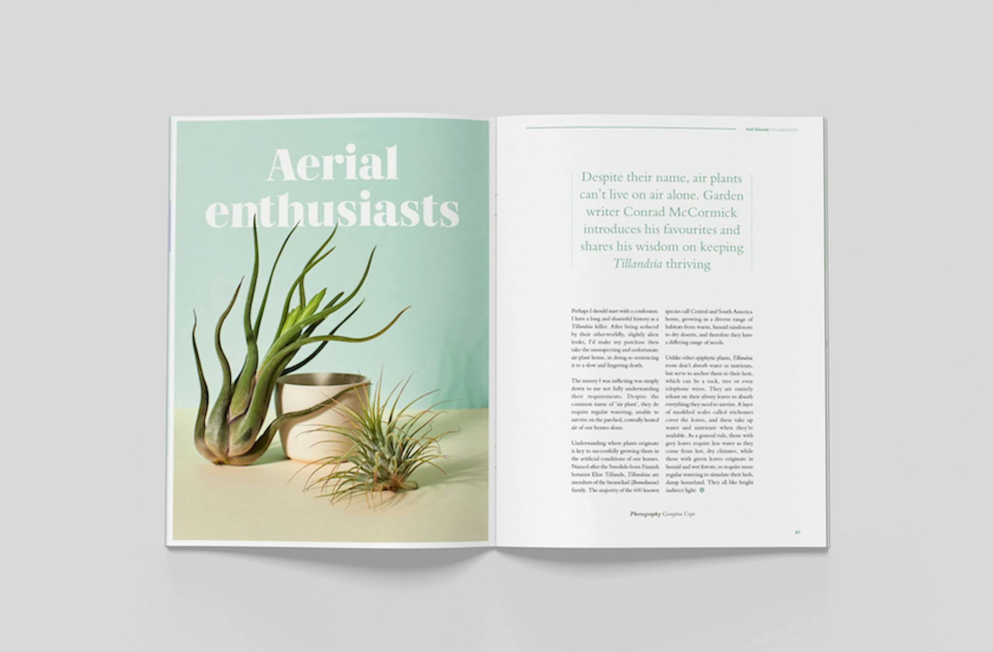 Bloom issue 6 - STACK magazines