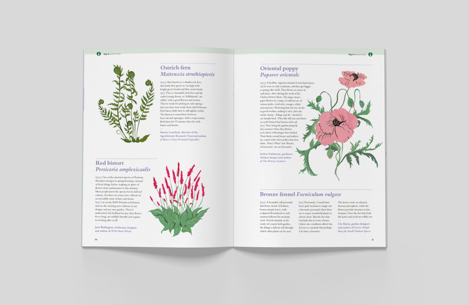 Bloom issue 6 - STACK magazines